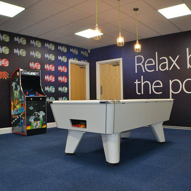 MIES Pool Wall Vinyl